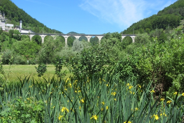 La Borne des 3 districts (Etape Suisse Rando n°31)