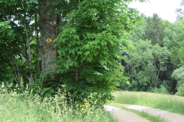 Du Creux du loup au Pré des dames