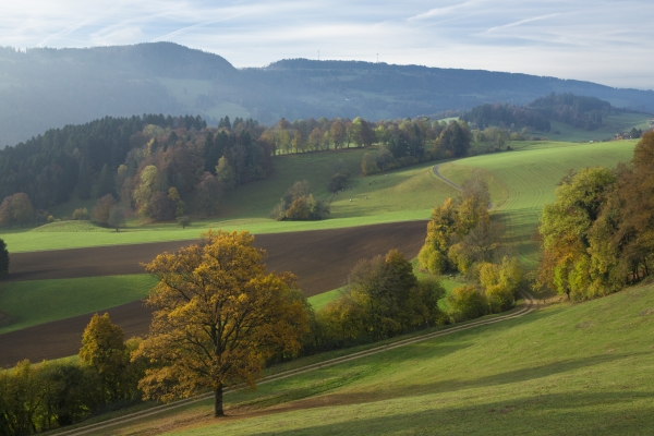 Des pâturages aux rives du Doubs