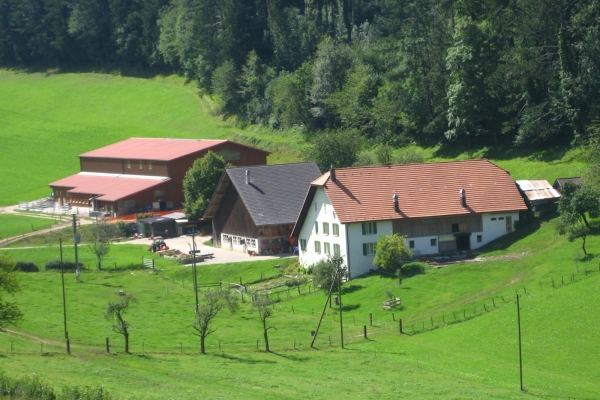 Là-haut sur la montagne!