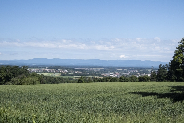 Balade en Basse-Allaine