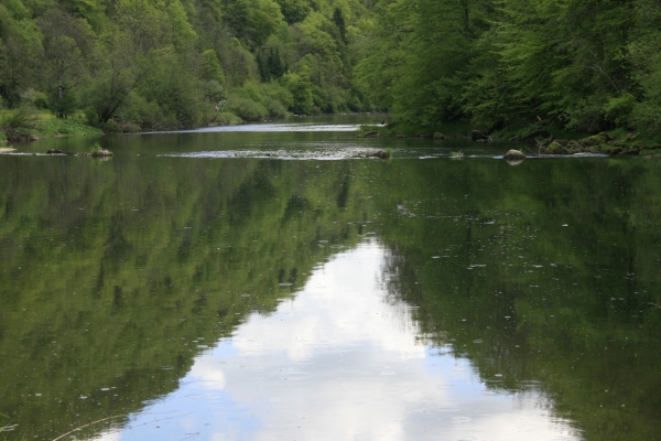 Des pâturages aux rives du Doubs