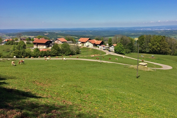 La Faux d’Enson