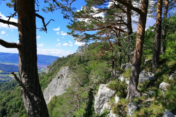 Sur Montchemin par les Rochers du Midi