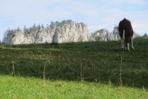 Les Sommêtres, phare des Franches-Montagnes!