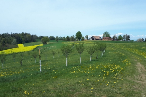 Point de vue du Roc aux Corbeaux