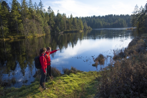 Etang de la Gruère