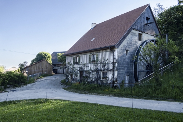 Dans la forêt de Derrière le Château