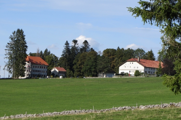 Bois, chaux, murs et vaches