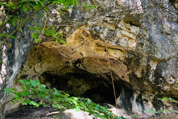 Sur les traces des Joliot-Curie