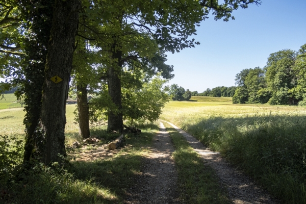 Balade en Basse-Allaine