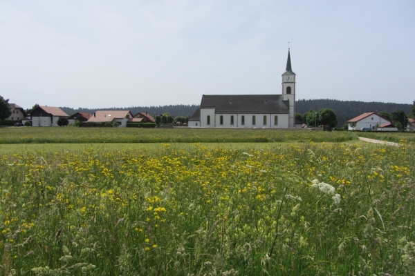 Du Creux du loup au Pré des dames