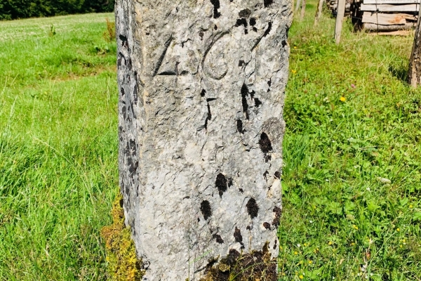 Sur les traces des Joliot-Curie