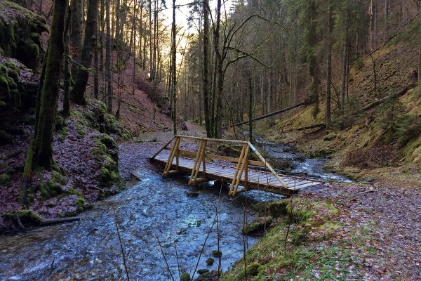 Le Pré-Petitjean-Glovelier