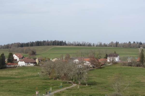 Von Waldweiden und Weihern