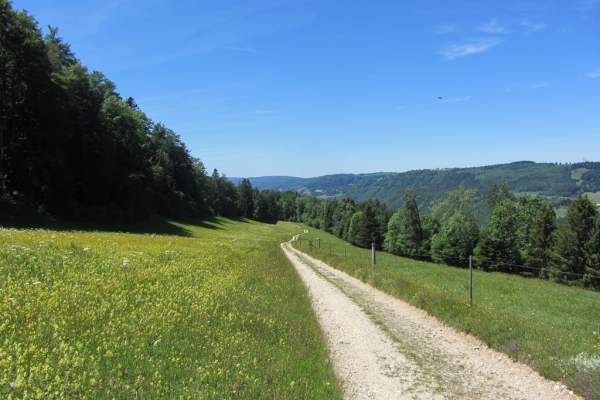 La Borne des 3 districts (Etape Suisse Rando n°31)