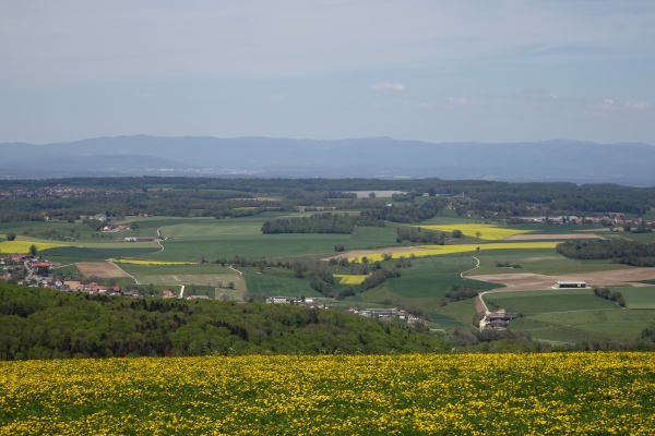 La Faux d’Enson