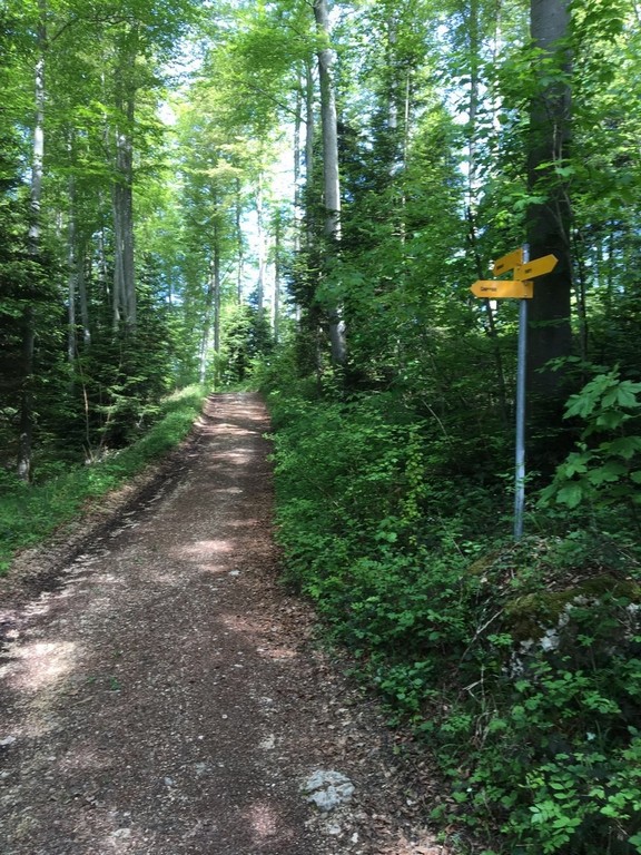 Sentier en direction du Roc de Courroux