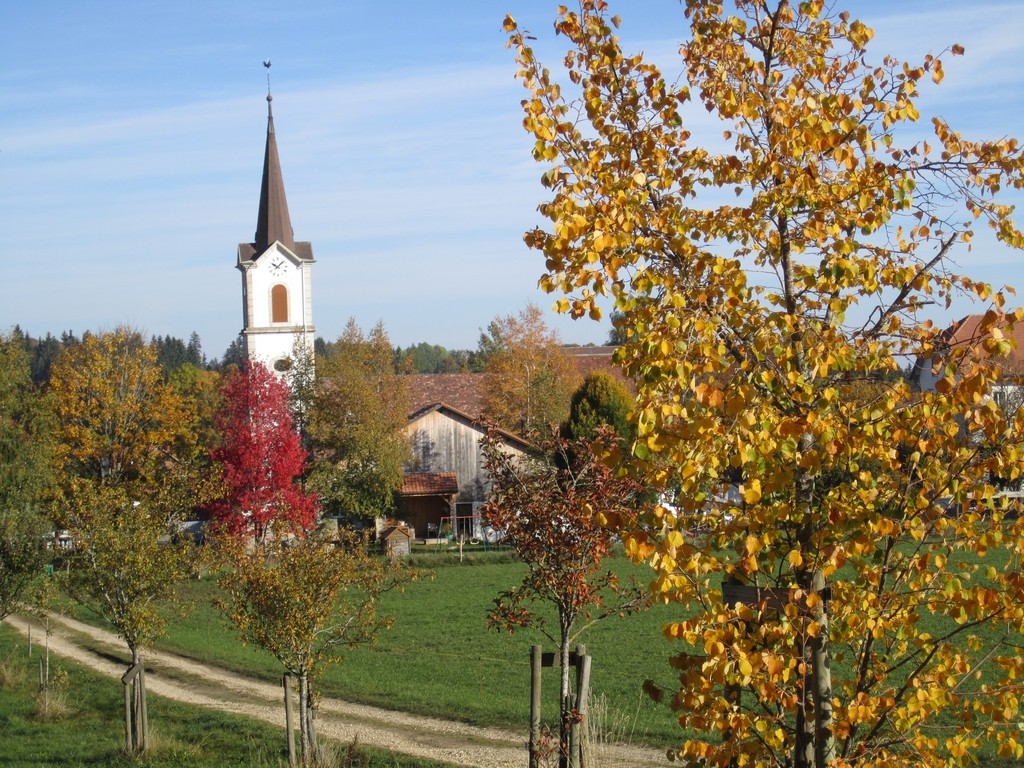 Lajoux église