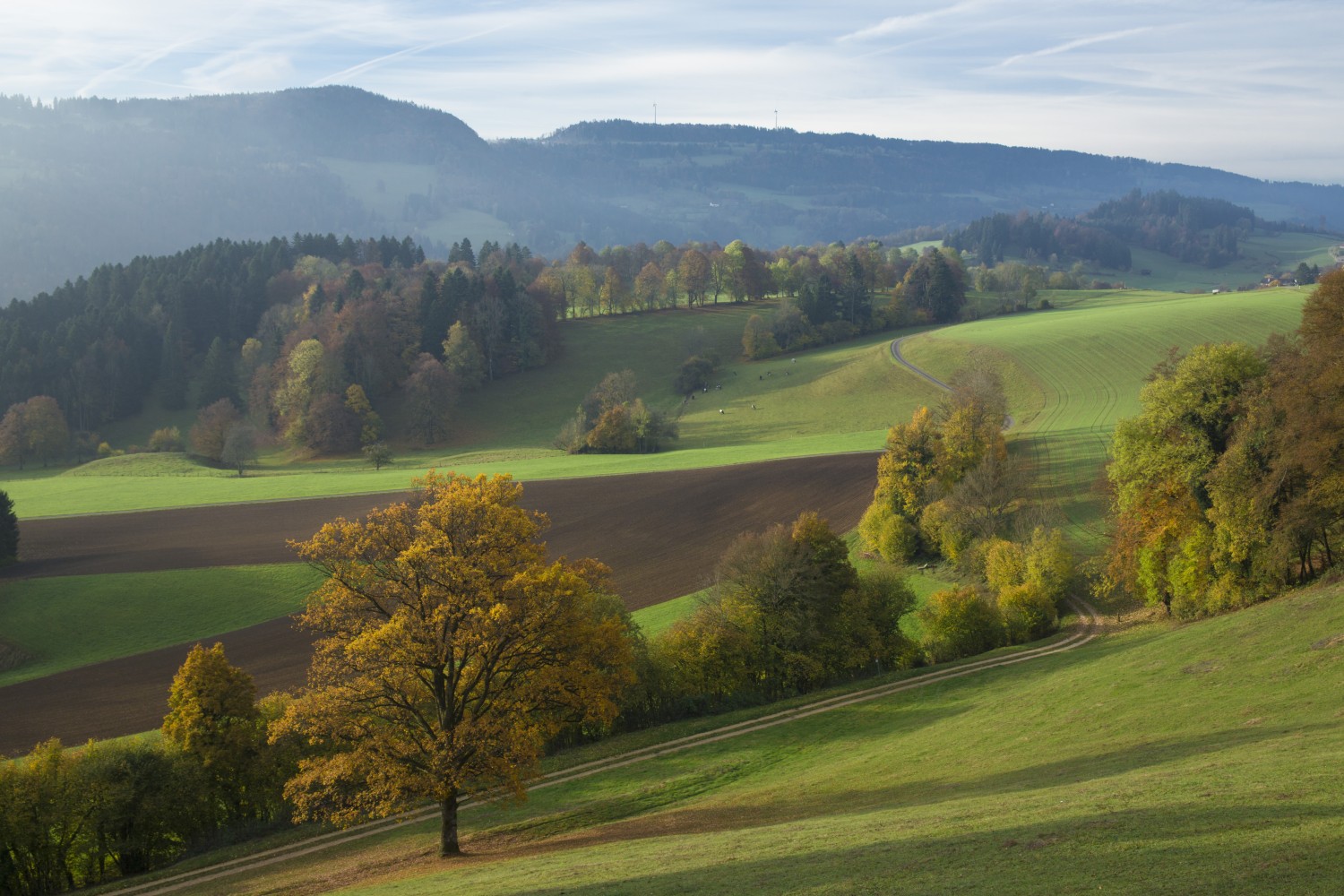 Franches-Montagnes en automne