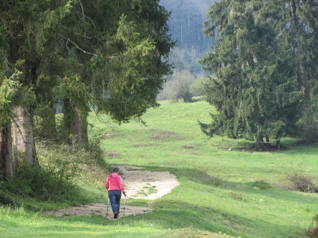 Monter le chemin blanc