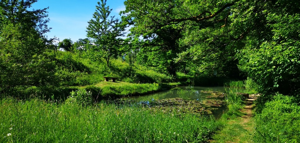 Etang vers Chêne