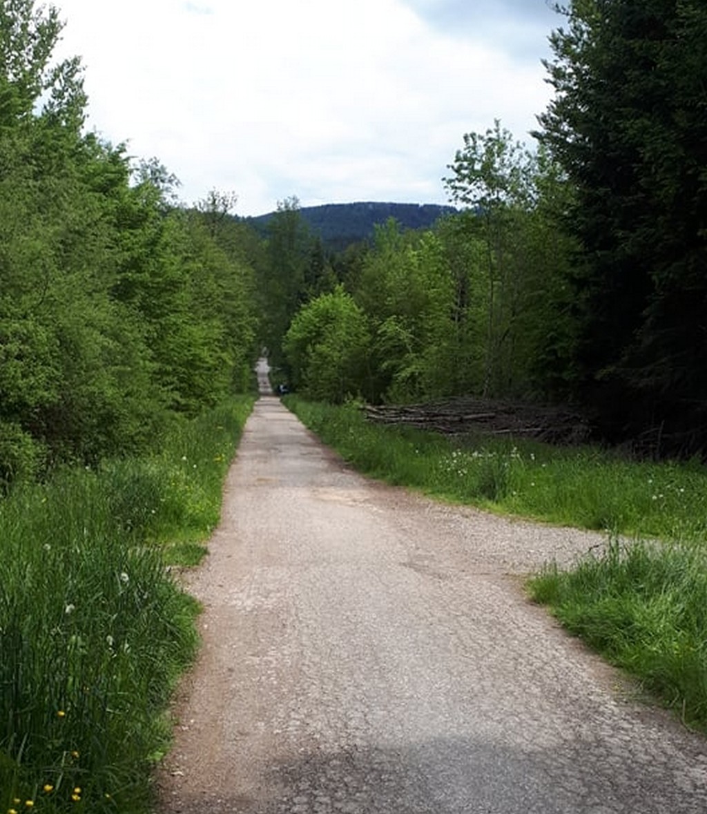 Chemin de la Montoie