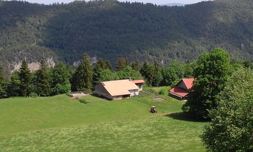 La ferme du Domont avec le tilleul près du chemin.