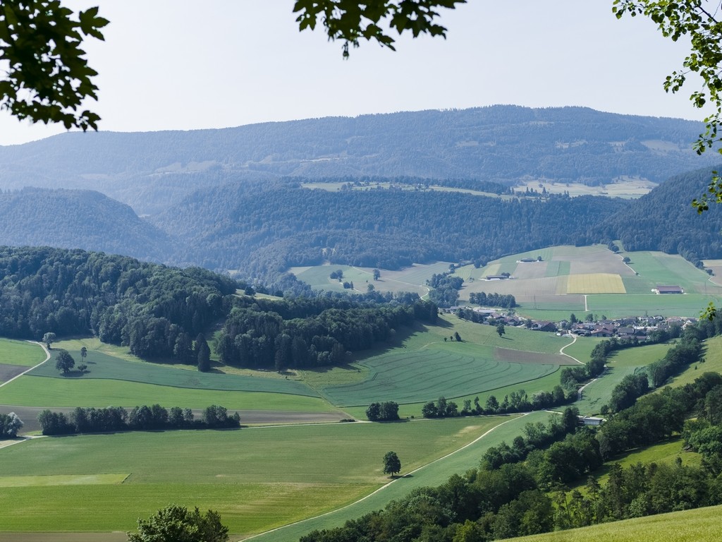 Vue sur le Cras