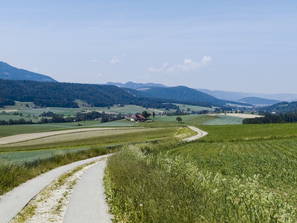 Chemin Sur les Vies de Bâle