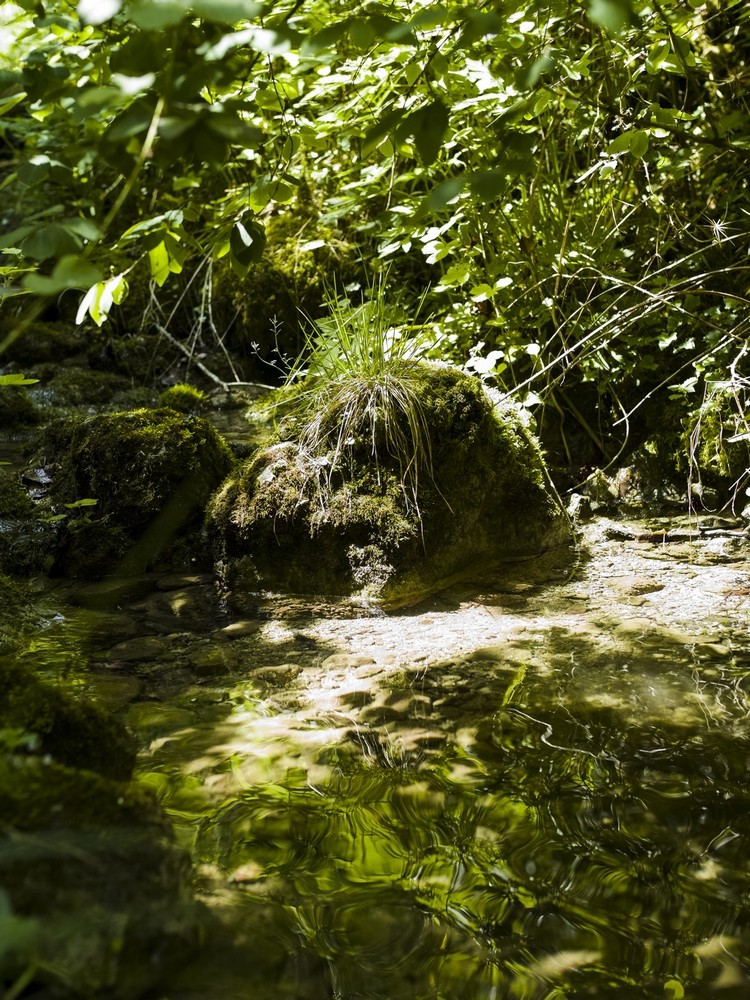 Ruisseau du Pré Yavon