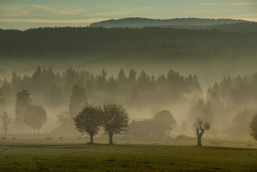 SR_Brume en automne Les Cerlatez