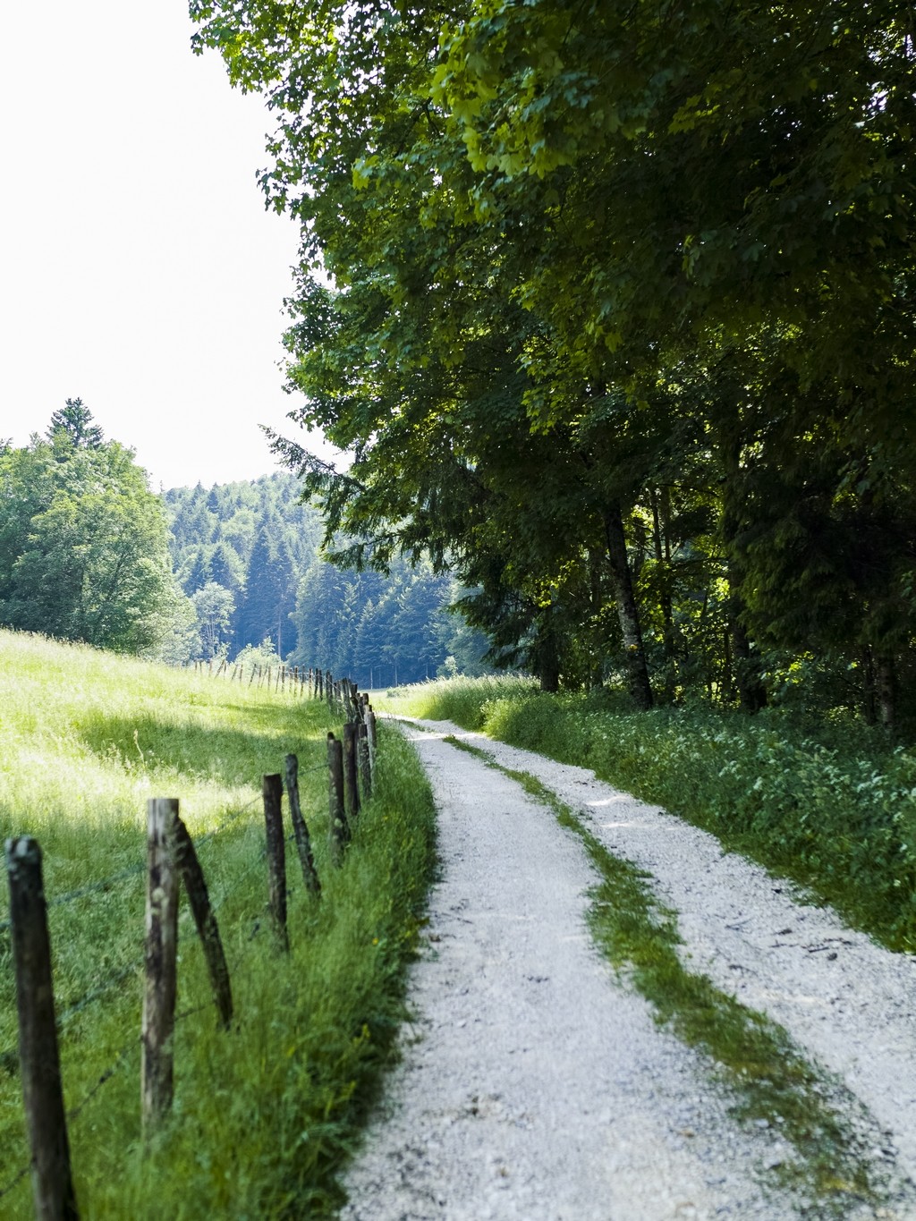 Fond de Chenau