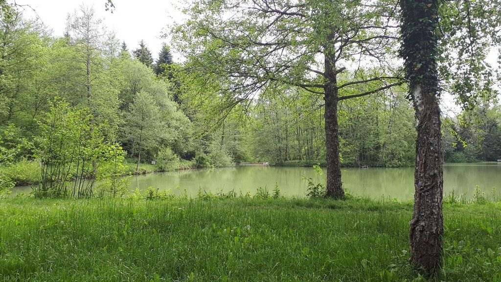 Etang de la Montoie