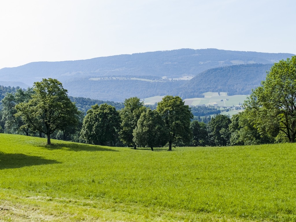 Les Neufs-Champs