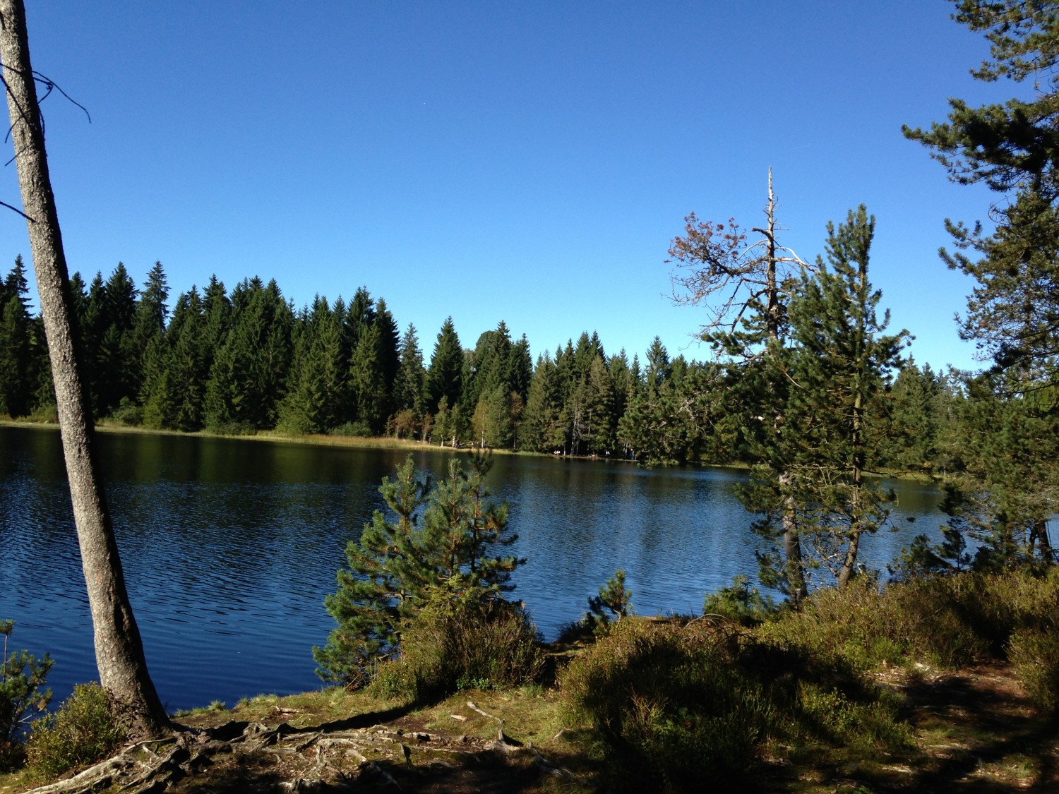 Etang Gruère