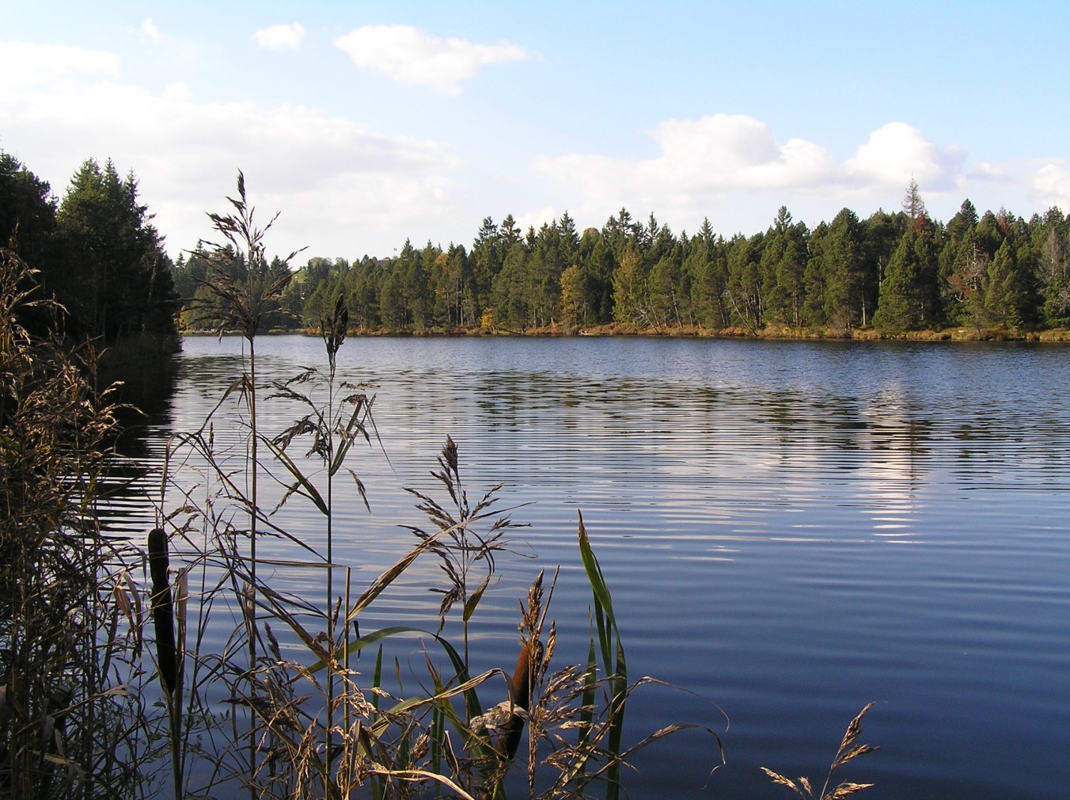 Etang de la Gruère