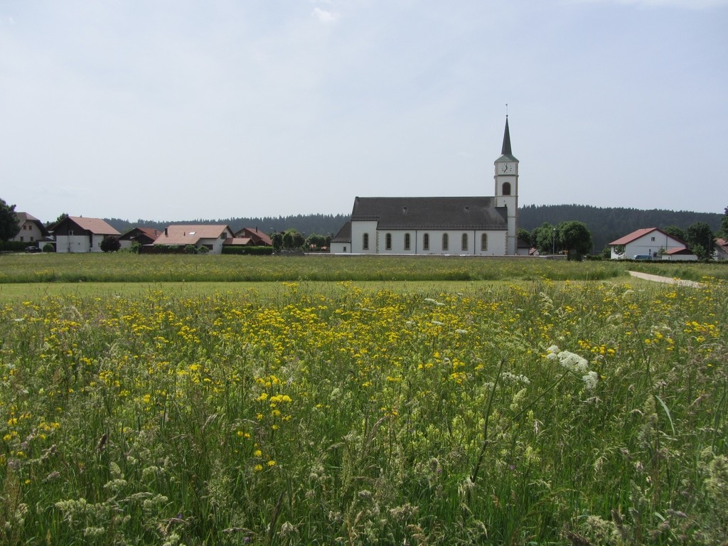 Eglise des Genevez et pré