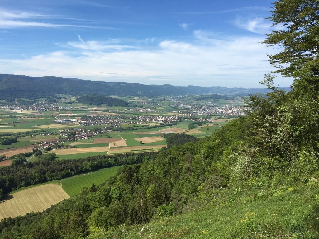 Vue sur la vallée de Delémont depuis le point de vue de la Pierreberg