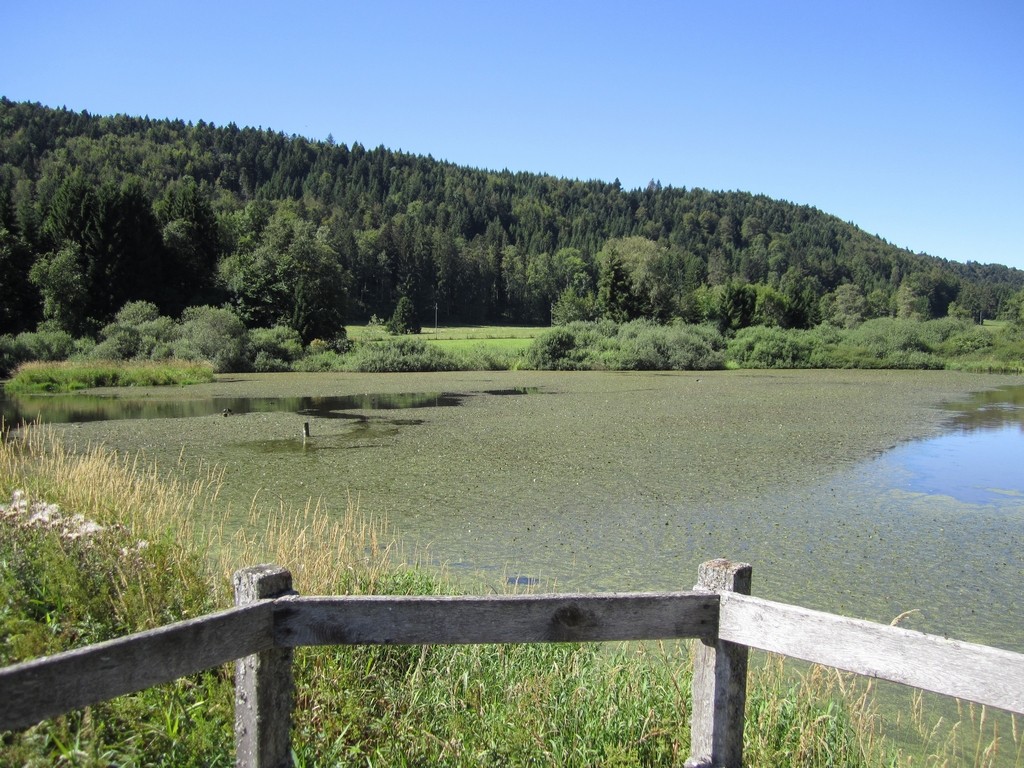 Etang de la Noz