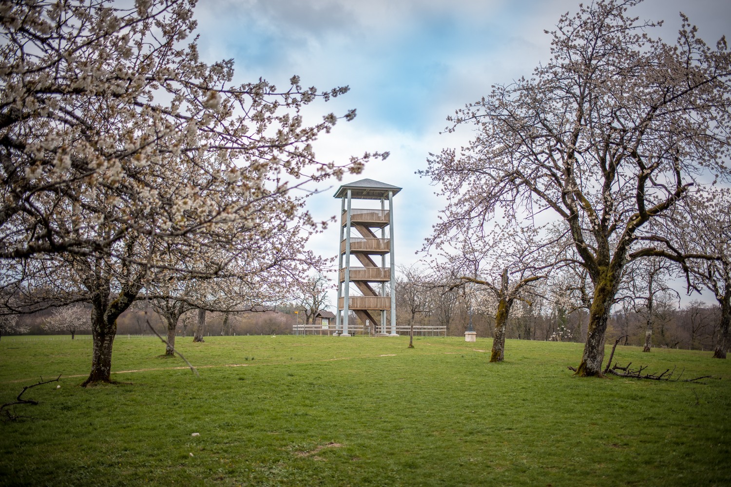 190405_CommuneBoncourt_Potrait_Village_SD-22.jpg