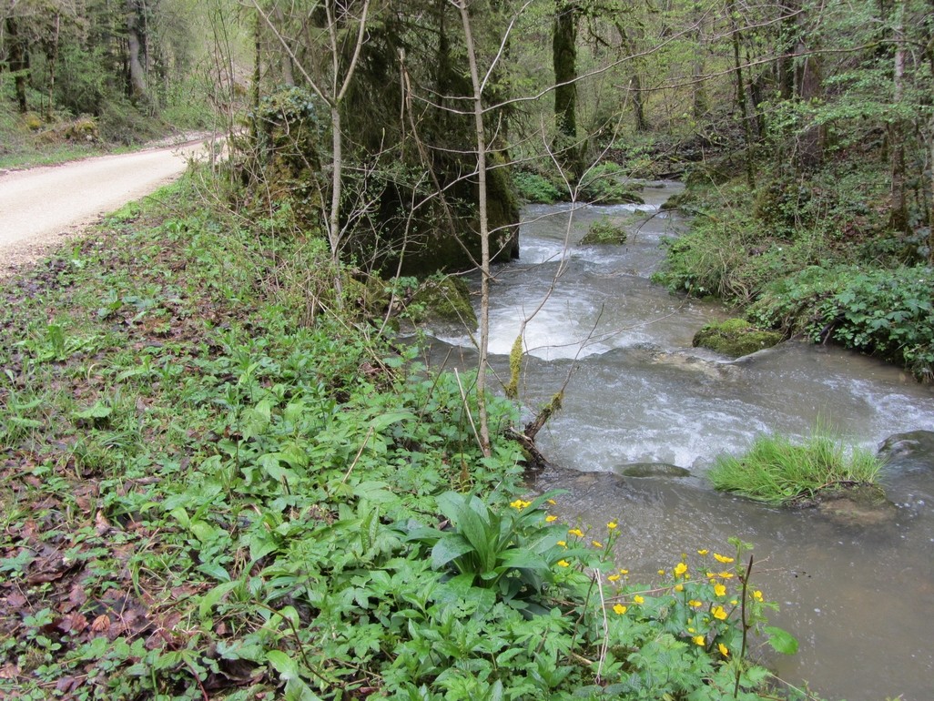 Le chemin longe le Tabeillon