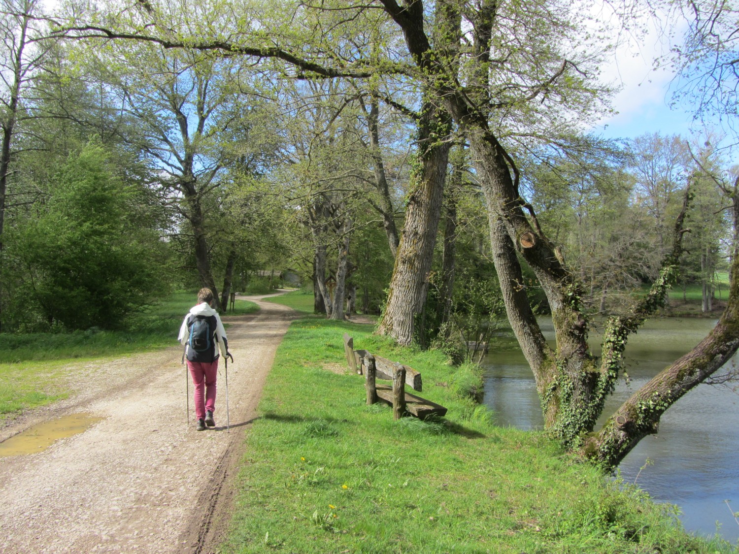 Etangs de Bonfol