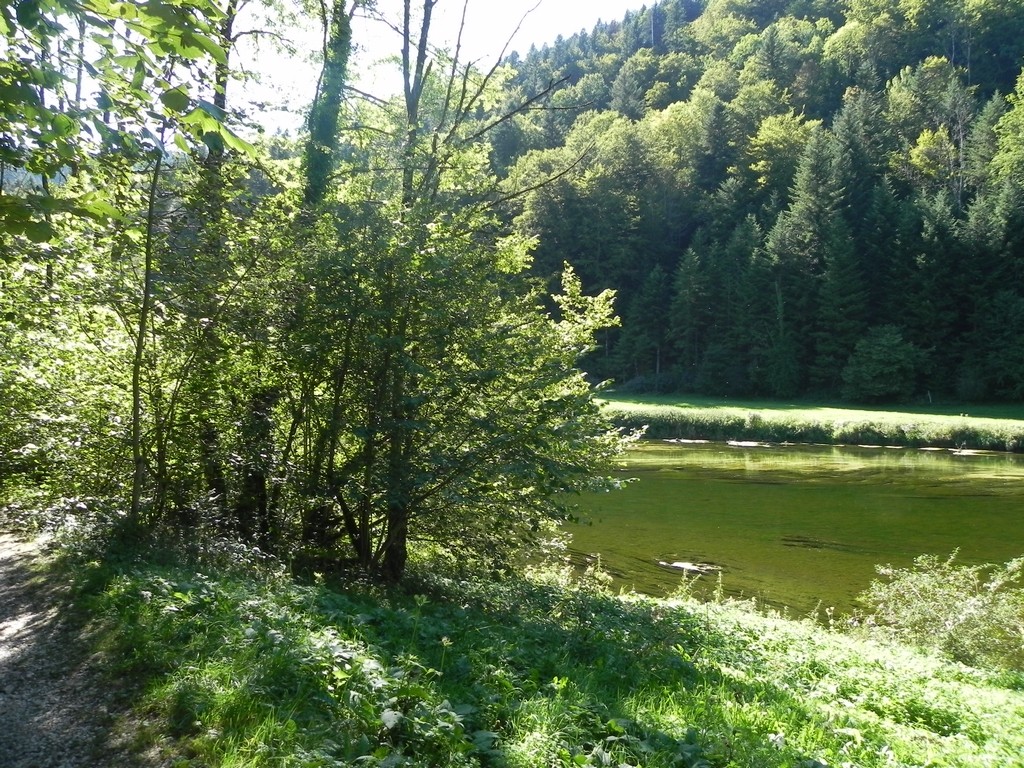 En remontant le Doubs, en direction de la Verte Herbe